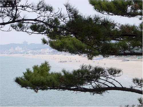 Daecheon Beach